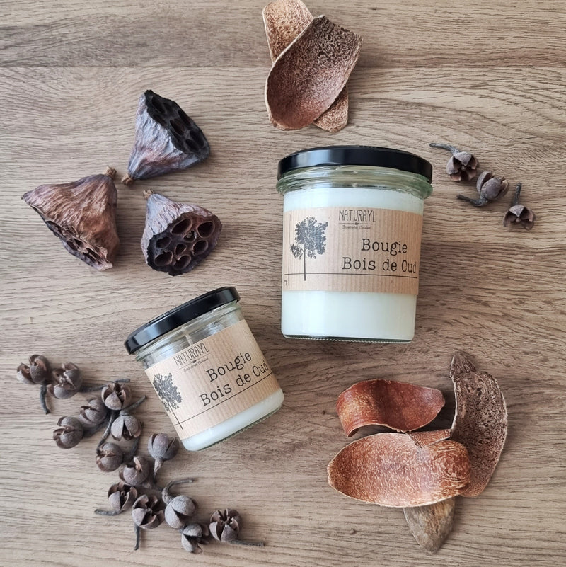 Bougie "Bois de Oud" - PRIX PROS