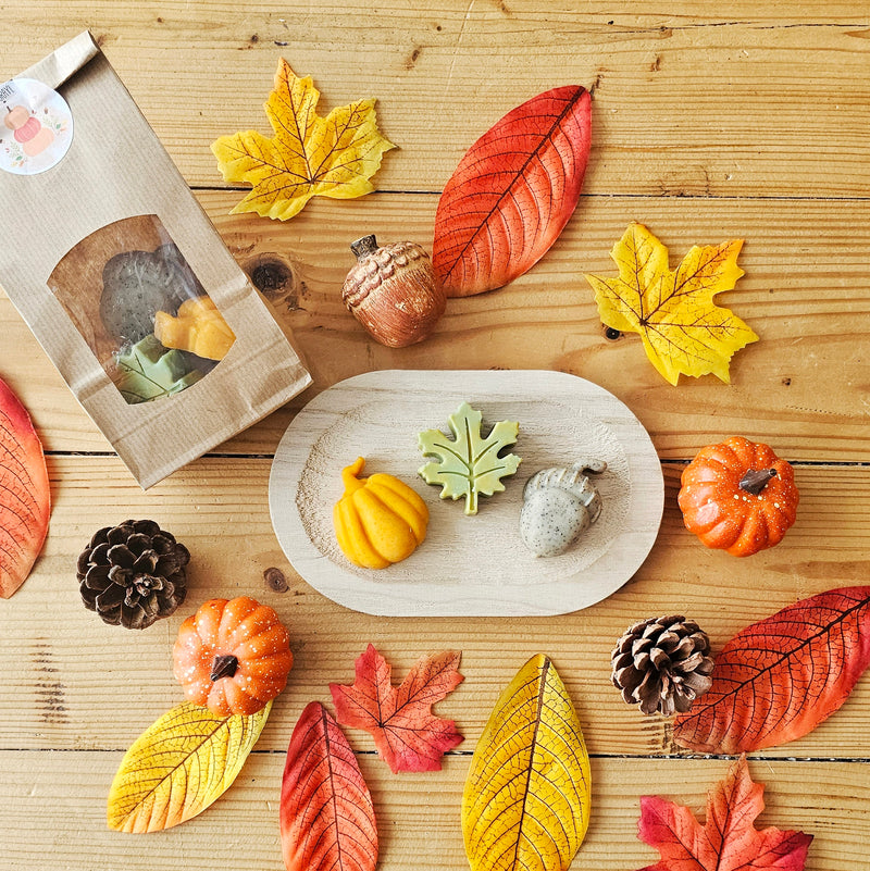 Sachet "Automne Cosy"