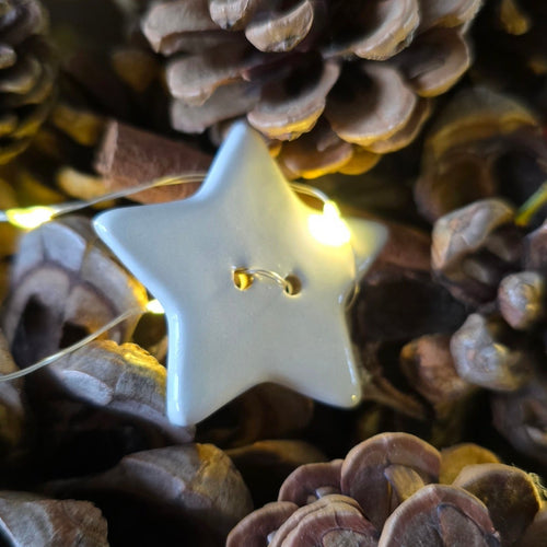 Guirlande “Étoiles d’Hiver”