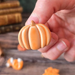 Broches “Petits Trésors d’Automne”