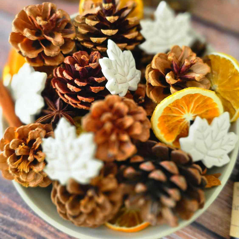 Composition parfumée d'automne – Édition limitée