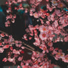 Bougie "Fleur de Sakura"