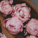 Bougie "Pivoine"